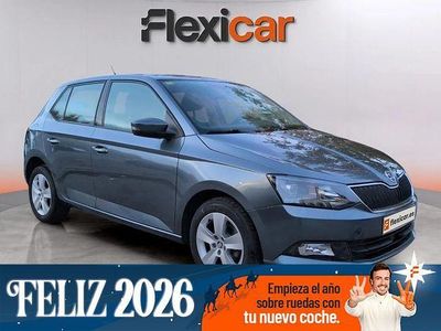 Gris / plata Usado 2018 Skoda Fabia Ambition Berlina | 12.490 € (Un poco caro)