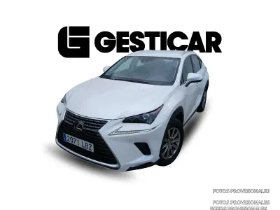 Usado Lexus NX300h Business Edition 197 CV (144 kW) 2019 SUV