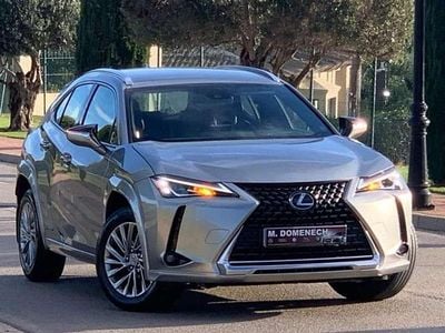 Usado Lexus UX 250h 152 CV (111 kW) 2022 Amarillo SUV