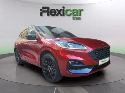 Używany Ford Kuga ST-Line 243 KM (178 kW) 2024 Czerwony SUV
