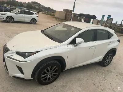 Usado Lexus NX300h Business Edition 197 CV (144 kW) 2020 Blanco SUV