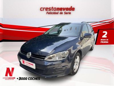 Azul Usado 2016 VW Golf VII Advance Familiar | 16.990 € (Caro)