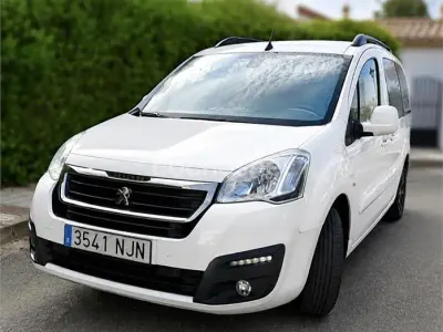 Usado Peugeot TePee