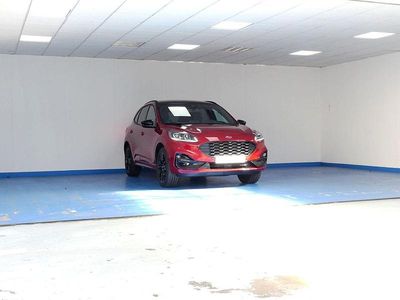 Usado Ford Kuga ST-Line X 225 CV (165 kW) 2023 Rojo SUV