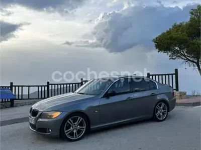 Usado BMW 318 143 CV (105 kW) 2009 Gris / plata Familiar
