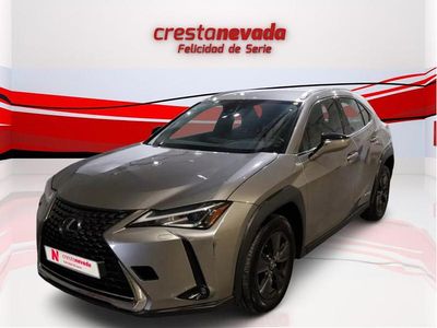 Usado Lexus UX Business Edition 184 CV (135 kW) 2021 Gris / plata SUV