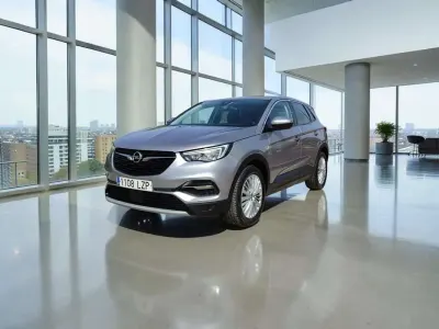 Usado Opel Grandland X