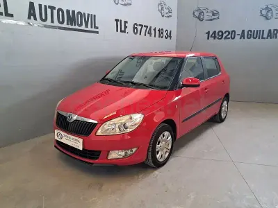 Usado Skoda Fabia