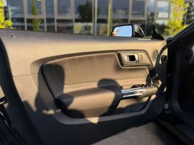 Usado Ford Mustang