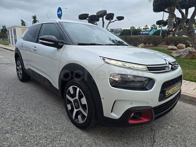 Usado Citroën C4 Cactus Shine 102 CV (75 kW) 2019 Blanco Utilitario