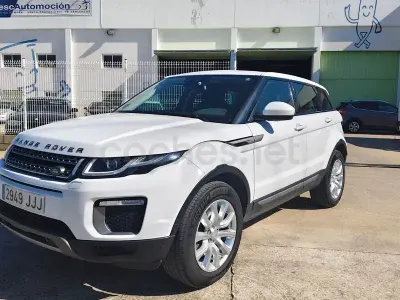 Usado Land Rover Range Rover evoque SE 150 CV (110 kW) 2015 Blanco SUV