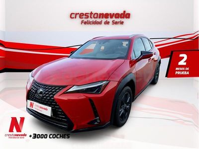 Usado Lexus UX Business Edition 184 CV (135 kW) 2022 Rojo SUV