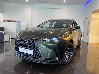 Nuevo Lexus NX350h 240 CV (176 kW) 2026 Verde