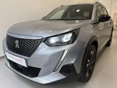 Usado Peugeot e-2008