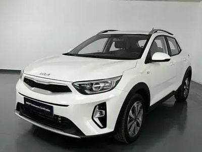 Brugt Kia Stonic 100 HK (73 kW) 2024 Hvid SUV