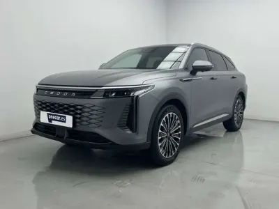 Usado Omoda 9