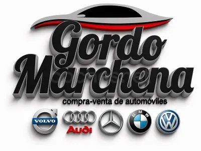 Usado BMW X1