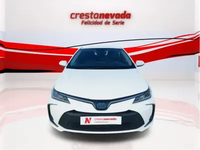 Usado Toyota Corolla Active 122 CV (89 kW) 2020 Berlina