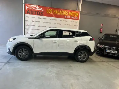 Usado Peugeot 2008 Active 110 CV (80 kW) 2022 Blanco SUV