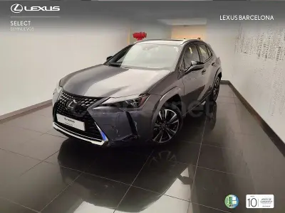 Usado Lexus UX Luxury Line 184 CV (135 kW) 2022 Gris / plata SUV
