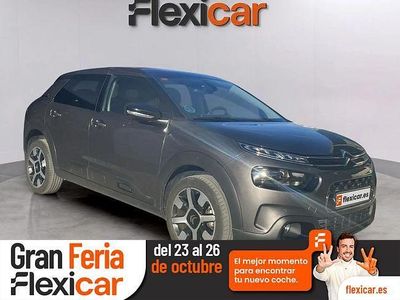 Gris Usado 2019 Citroën C4 Cactus PureTech Utilitario | 12.990 € (Caro)