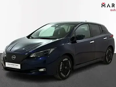 Usado Nissan Leaf