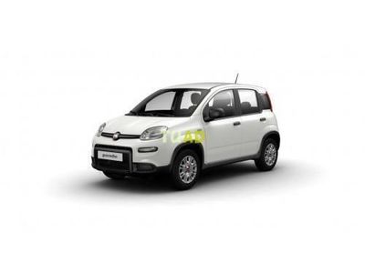 usado Fiat Panda PandaHybrid 1.0 51kw (70CV)