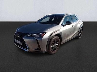 Usado Lexus UX 250h Business Edition 184 CV (135 kW) 2022 Blanco SUV