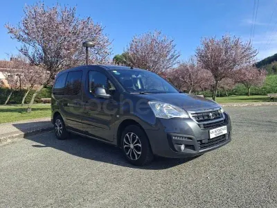 Usado Peugeot Rifter