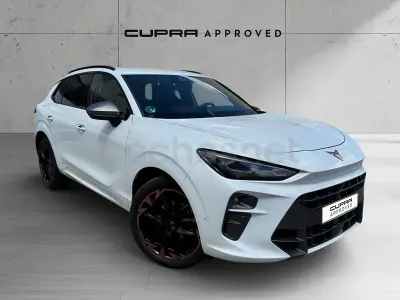 Usado Cupra Terramar