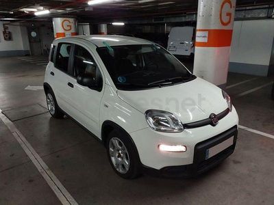 Usado Fiat Panda City Life 70 CV (51 kW) 2023 Blanco Utilitario