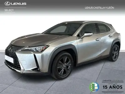 Usado Lexus UX 300h 199 CV (146 kW) 2025 Gris SUV