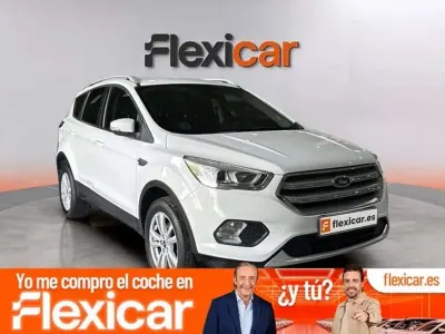 Usado Ford Kuga Trend+ 120 CV (88 kW) 2019 Blanco SUV
