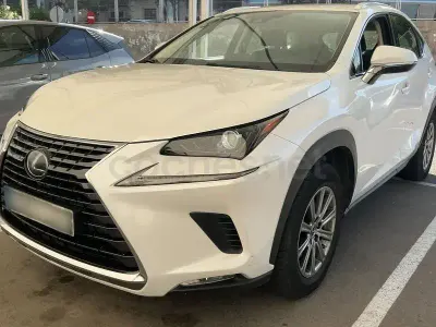 Usado Lexus NX300h Business Edition 197 CV (144 kW) 2020 Blanco SUV