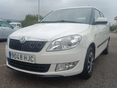 Usado Skoda Fabia