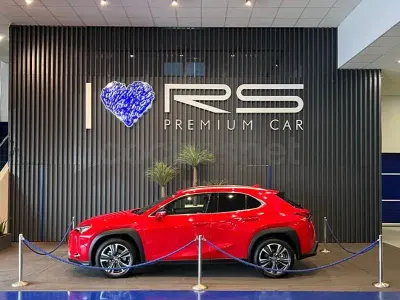 Usado Lexus UX