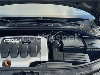 Marrón Usado 2003 Audi A3 Ambition Berlina | 2599 € (Caro)