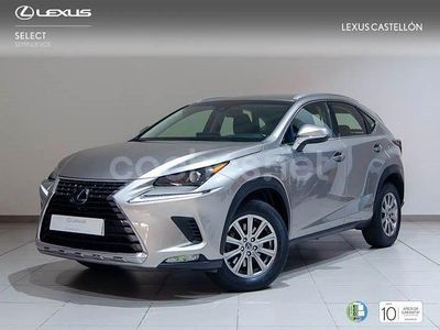 Usado Lexus NX300h Business Edition 197 CV (144 kW) 2019 Gris / plata SUV