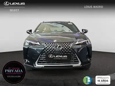 Nuevo Lexus UX 198 CV (145 kW) 2026 Gris SUV