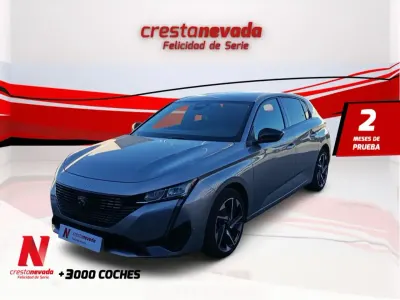Usado Peugeot 308 Allure 145 CV (106 kW) 2025 Gris Utilitario