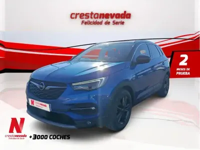 Usado Opel Grandland X Selective 131 HP (96 kW) 2019 Azul SUV