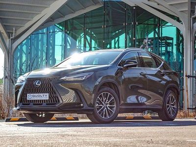 Usado Lexus NX350h 242 CV (177 kW) 2024 Verde SUV