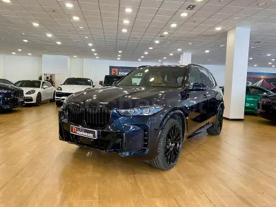 Usado BMW X5