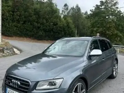 Usado Audi SQ5