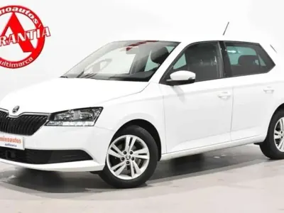 Usado Skoda Fabia