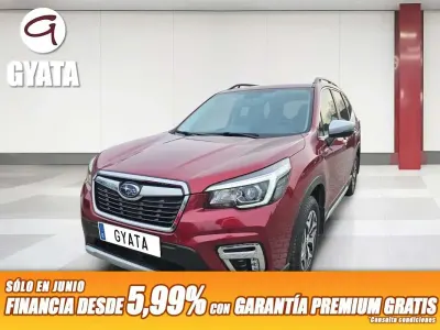 Usado Subaru Forester
