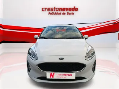 Usado Ford Fiesta Trend 75 CV (55 kW) 2020 Utilitario