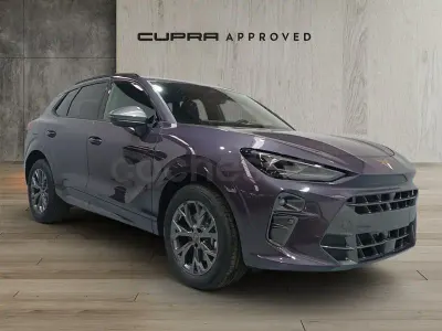 Usado Cupra Terramar