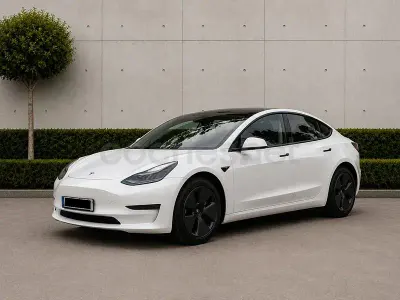 Usado Tesla Model 3