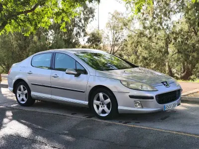 Usado Peugeot 407